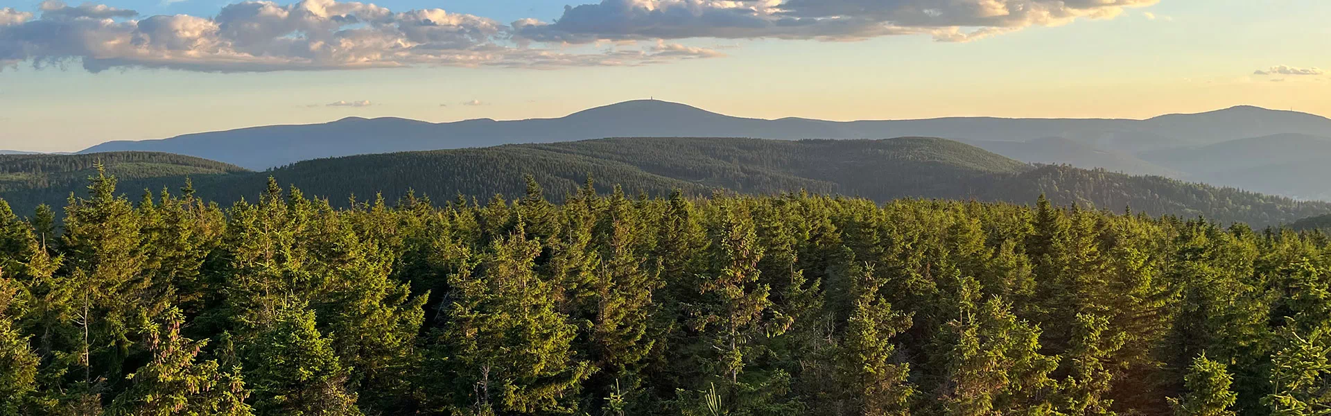 widok na góry